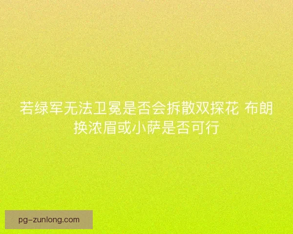 若绿军无法卫冕是否会拆散双探花 布朗换浓眉或小萨是否可行