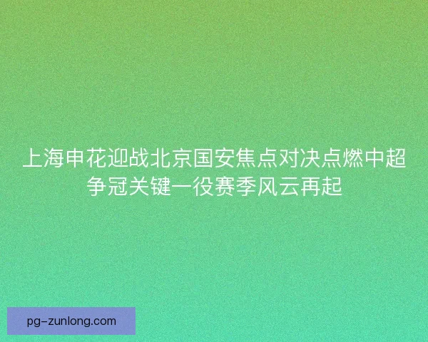 上海申花迎战北京国安焦点对决点燃中超争冠关键一役赛季风云再起